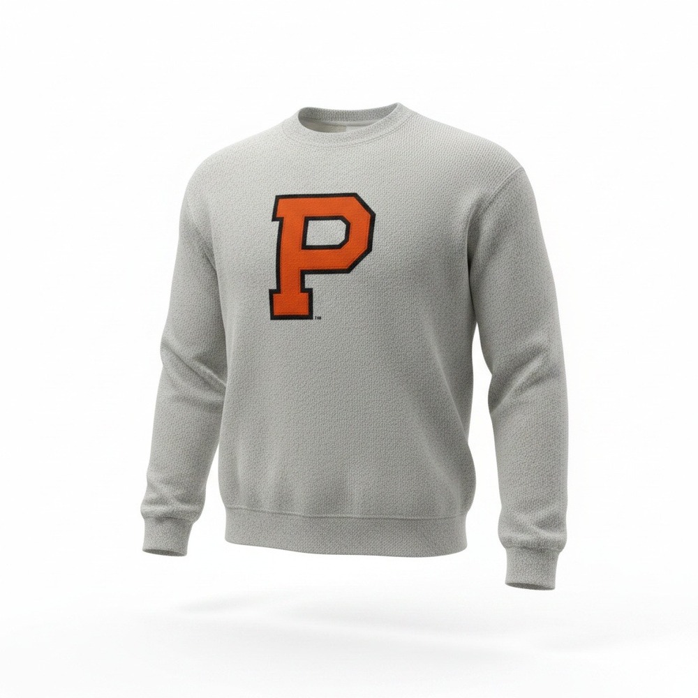 League Princeton University Sweatshirt Men's M Gray Ivy League Big P Crewneck